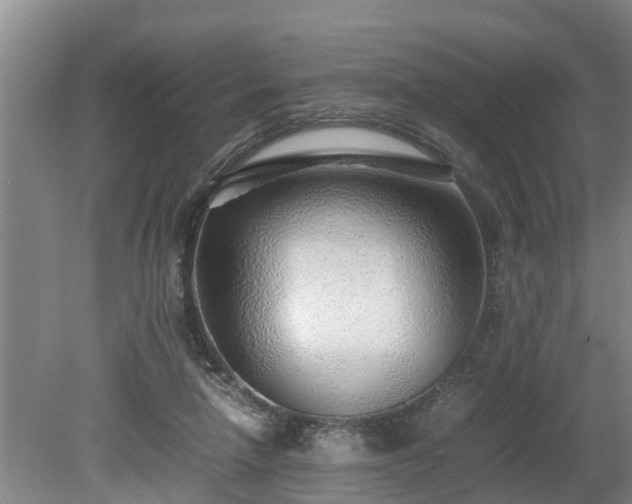 X0000081290258200701181817