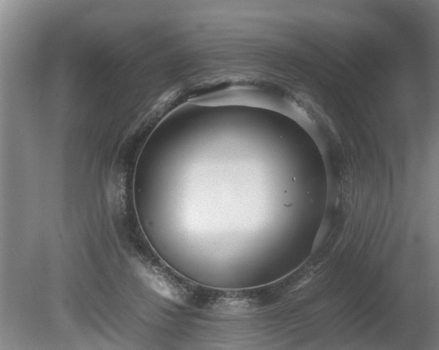 X0000081290260200701181817