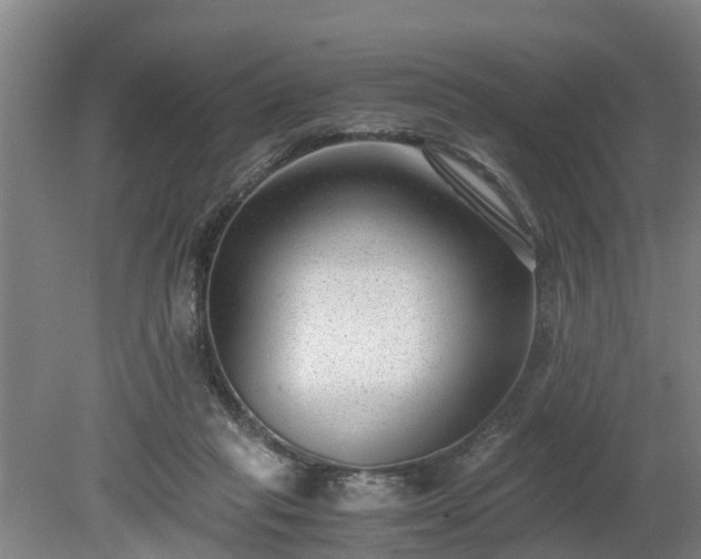 X0000081290261200701181817