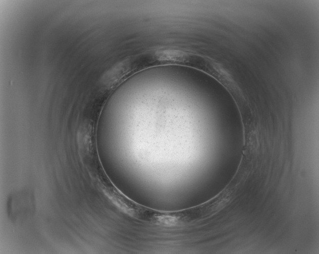 X0000081290265200701181817