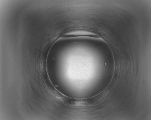 X0000081290268200701181817