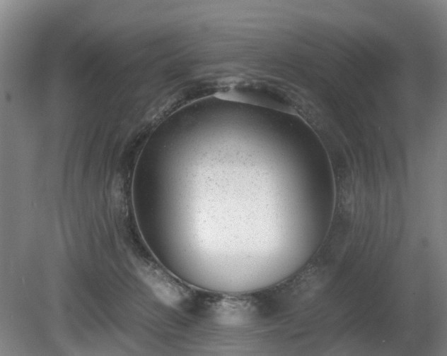 X0000081290270200701181817