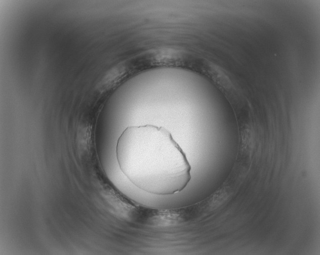 X0000081290278200701181817