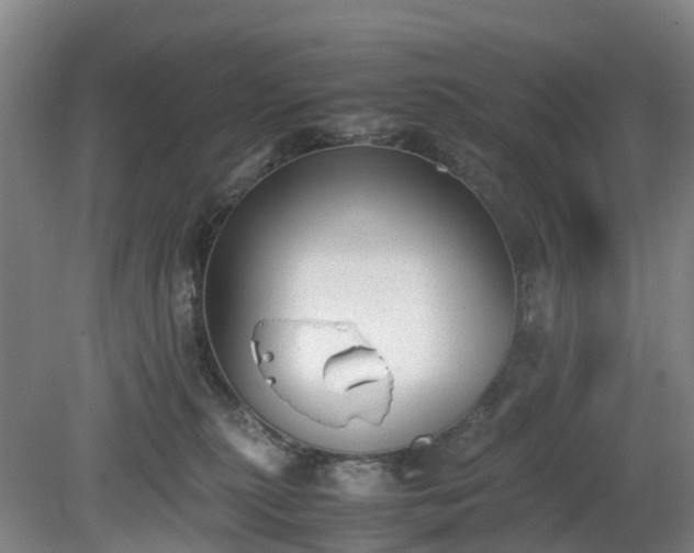 X0000081290279200701181817