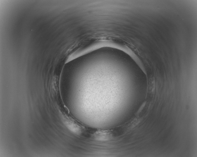 X0000081290280200701181817