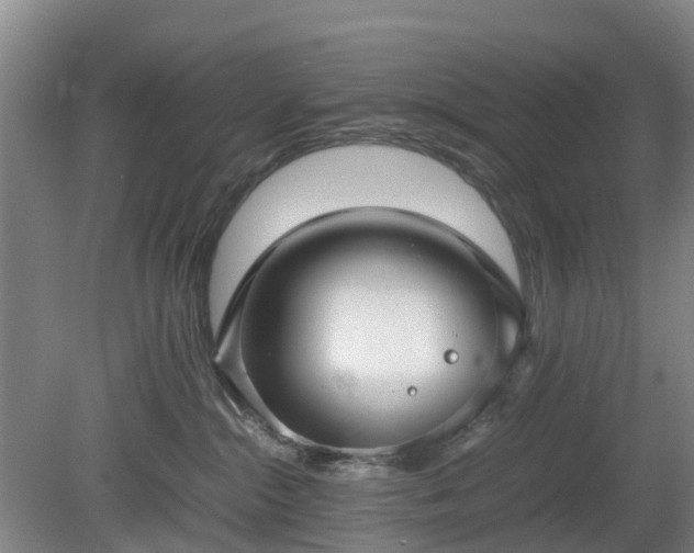 X0000081290284200701181817