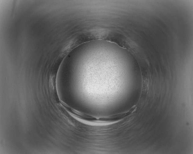 X0000081290286200701181817