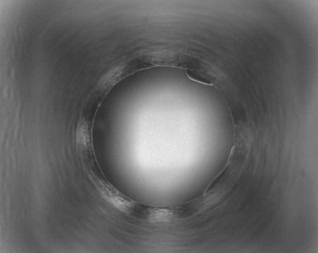 X0000081290287200701181817