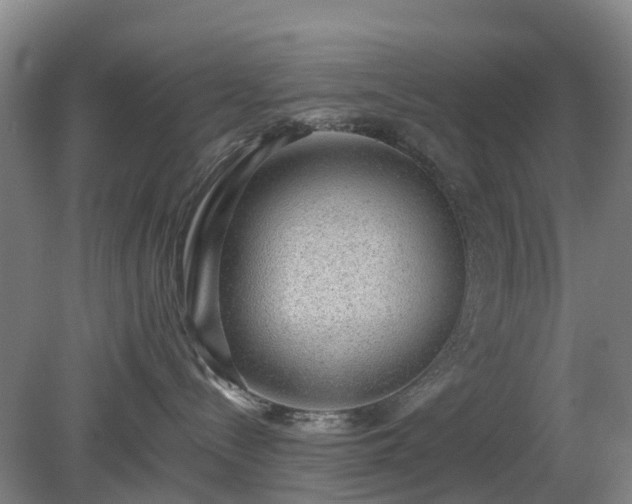 X0000081290288200701181817