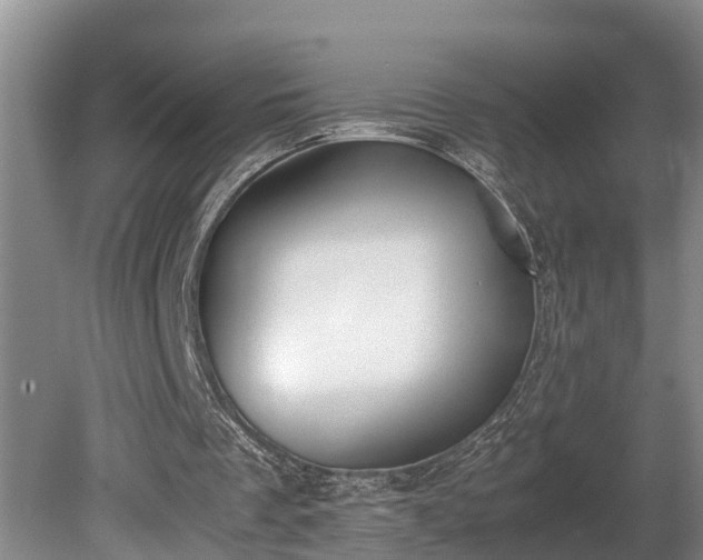 X0000081290289200701181816