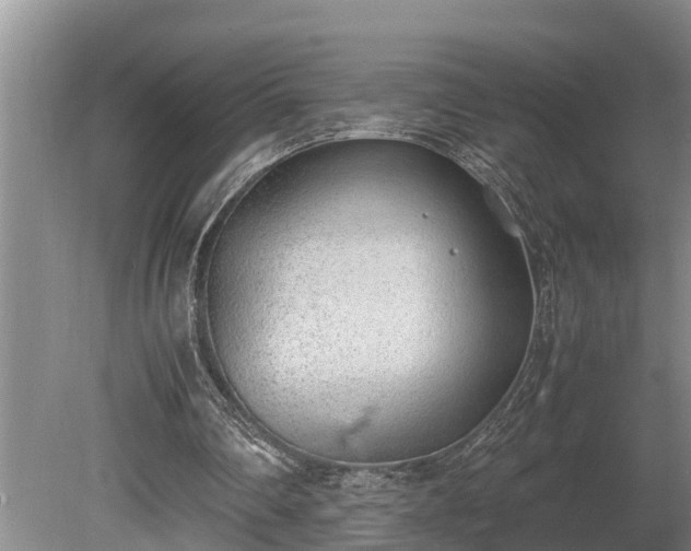 X0000081290290200701181816