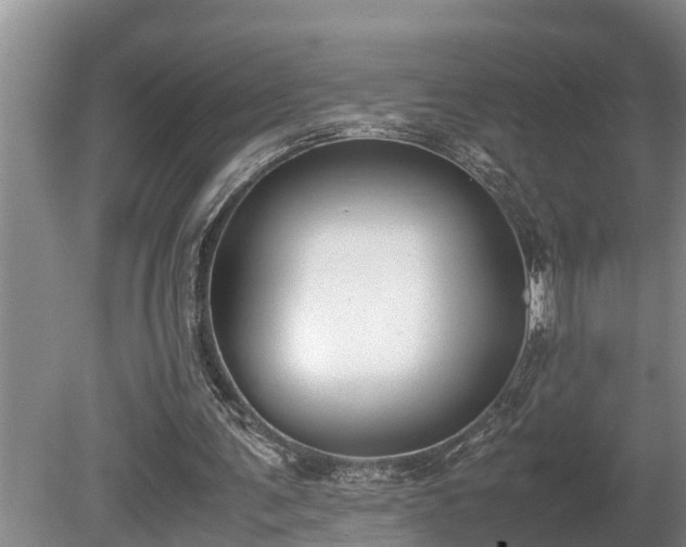 X0000081290291200701181816