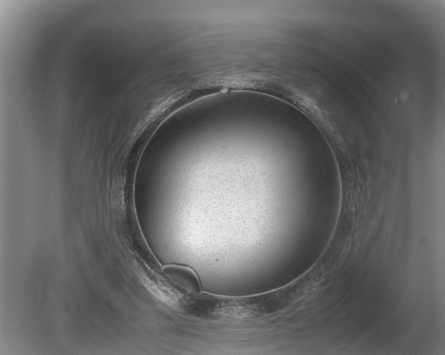 X0000081290299200701181816