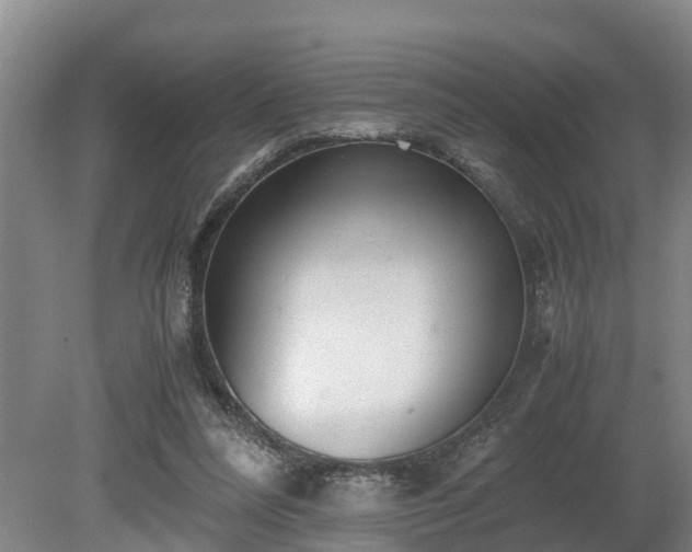 X0000081290304200701181816