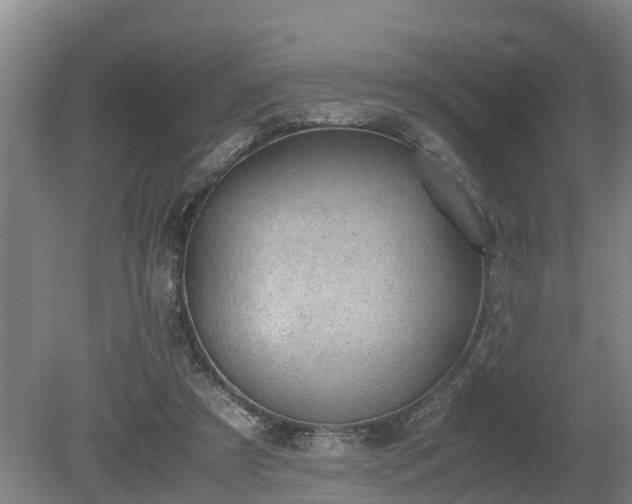 X0000081290305200701181816