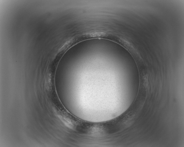 X0000081290308200701181816