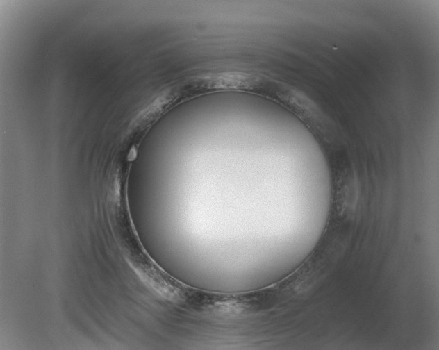 X0000081290310200701181816