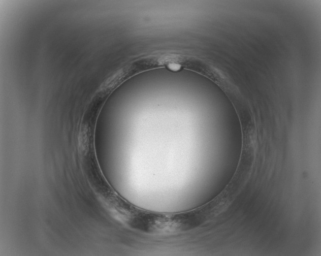 X0000081290311200701181816