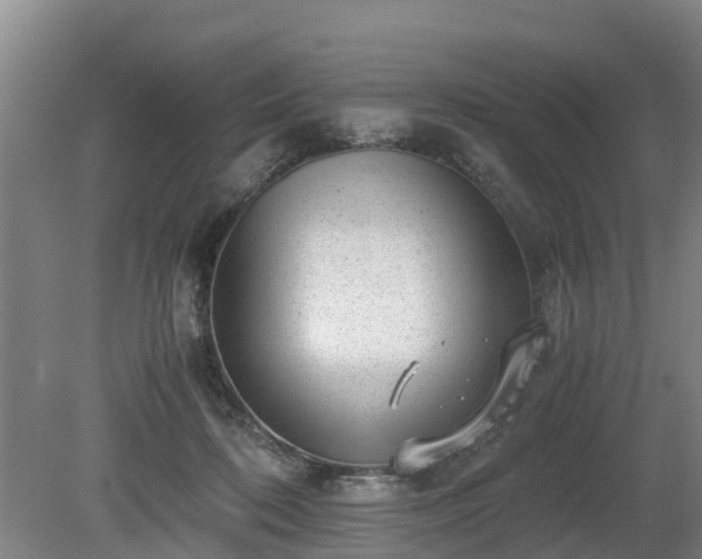 X0000081290316200701181816