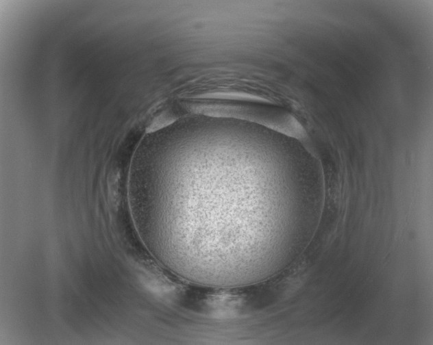 X0000081290319200701181816