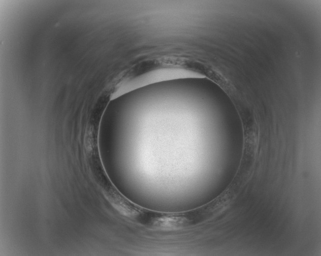 X0000081290323200701181816