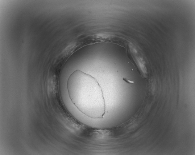 X0000081290328200701181816