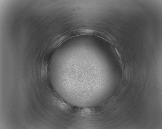 X0000081290330200701181816