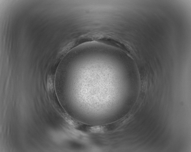X0000081290335200701181815