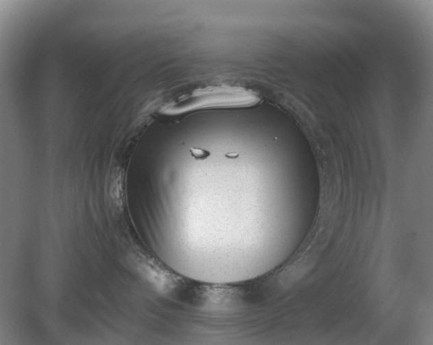 X0000081290336200701181815