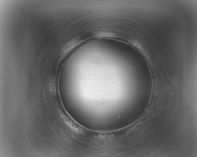 X0000081290345200701181815