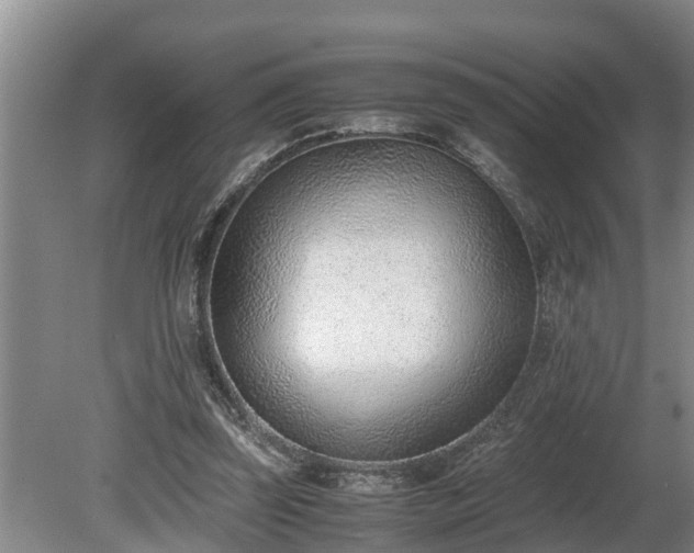 X0000081290347200701181815