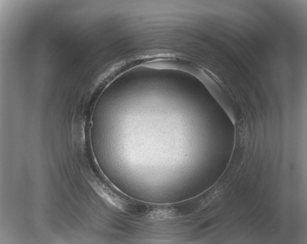 X0000081290350200701181815