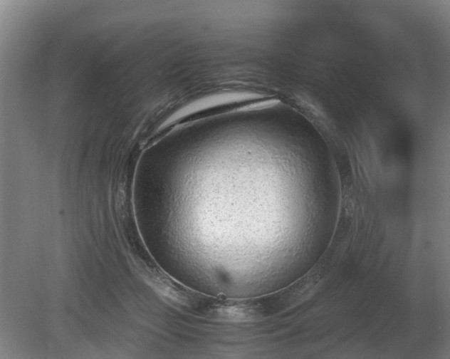 X0000081290365200701181815