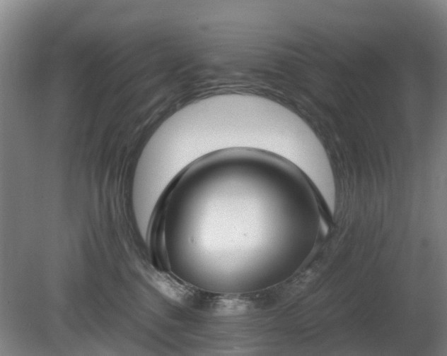 X0000081290376200701181815