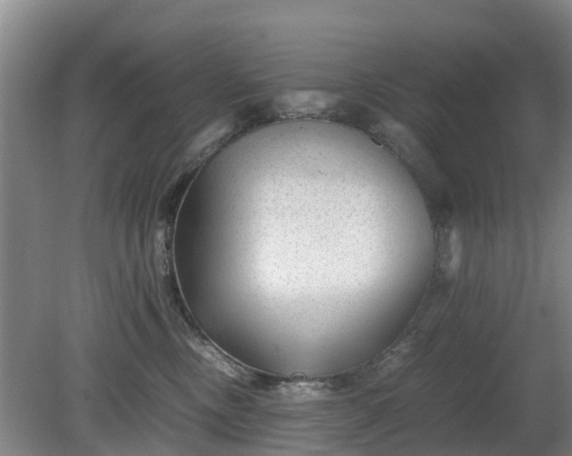 X0000081290378200701181815