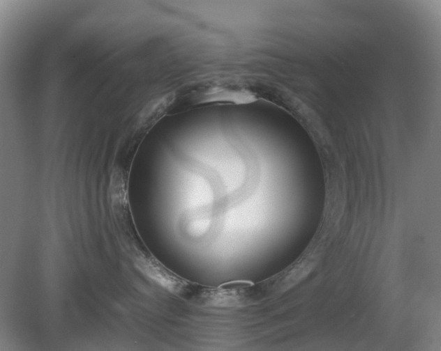 X0000081290384200701181815