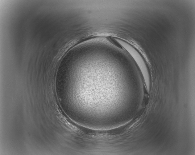 X0000081290385200701181815