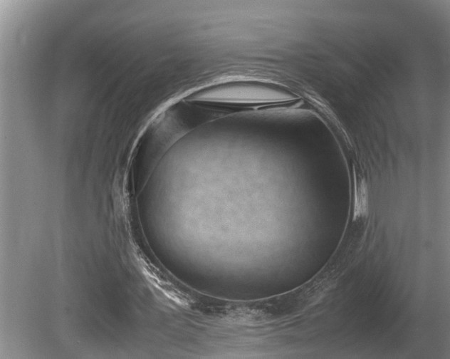 X0000081290387200701181815