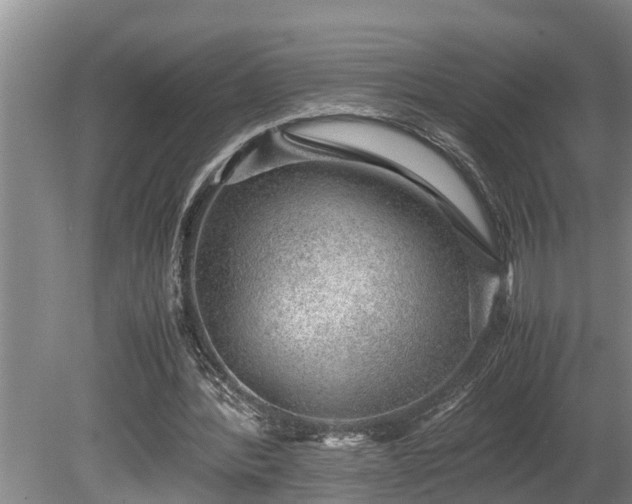 X0000081290388200701181815