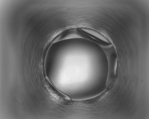 X0000081290389200701181815