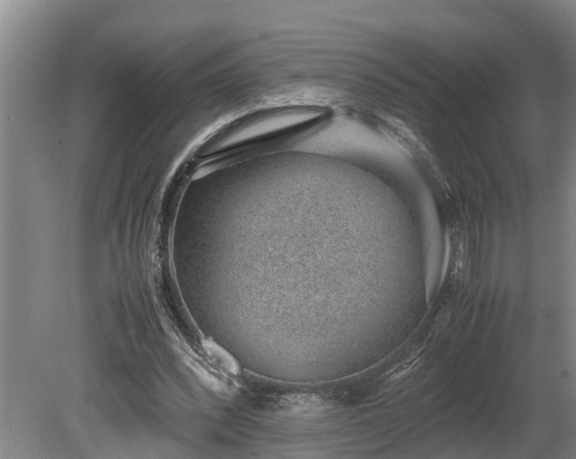 X0000081290392200701181815