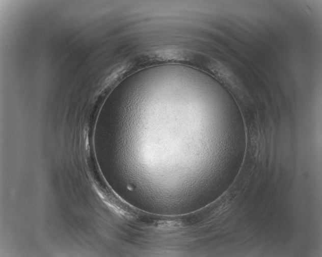 X0000081290398200701181814