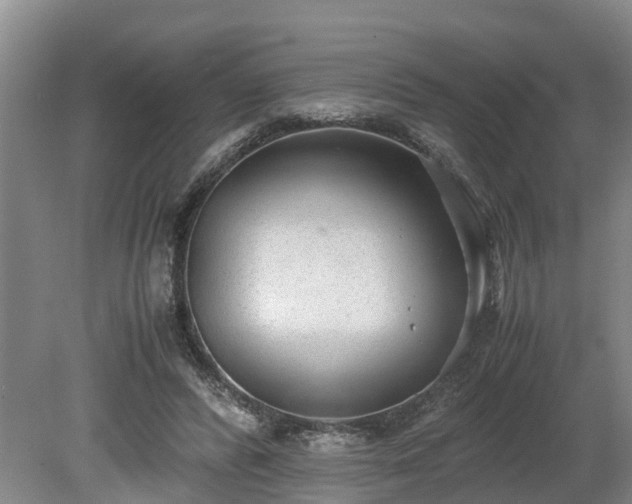 X0000081290400200701181814