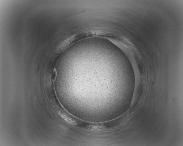 X0000081290401200701181814