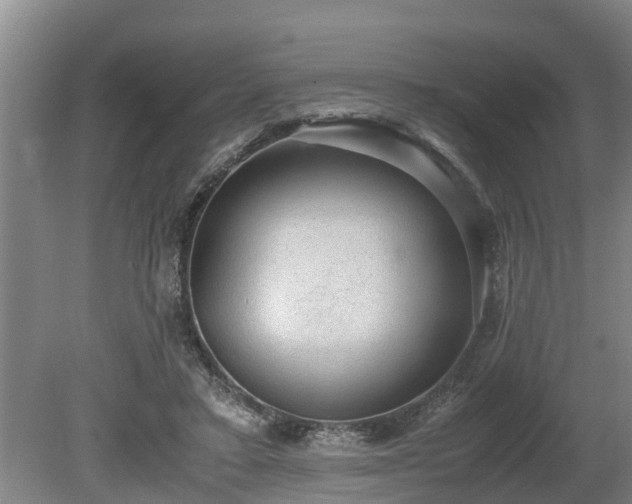 X0000081290403200701181814
