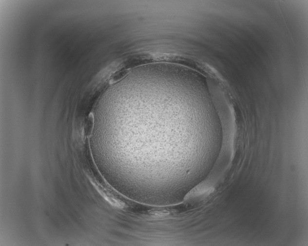 X0000081290405200701181814