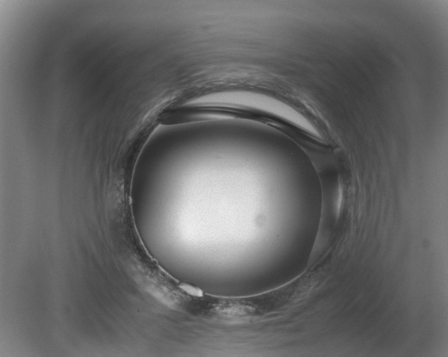 X0000081290407200701181814