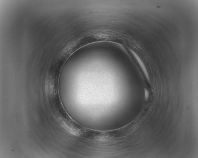 X0000081290408200701181814