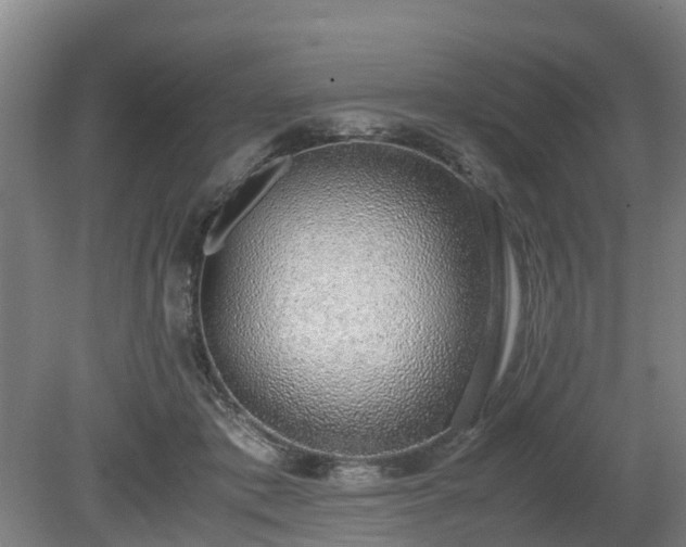 X0000081290413200701181814