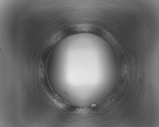 X0000081290414200701181814